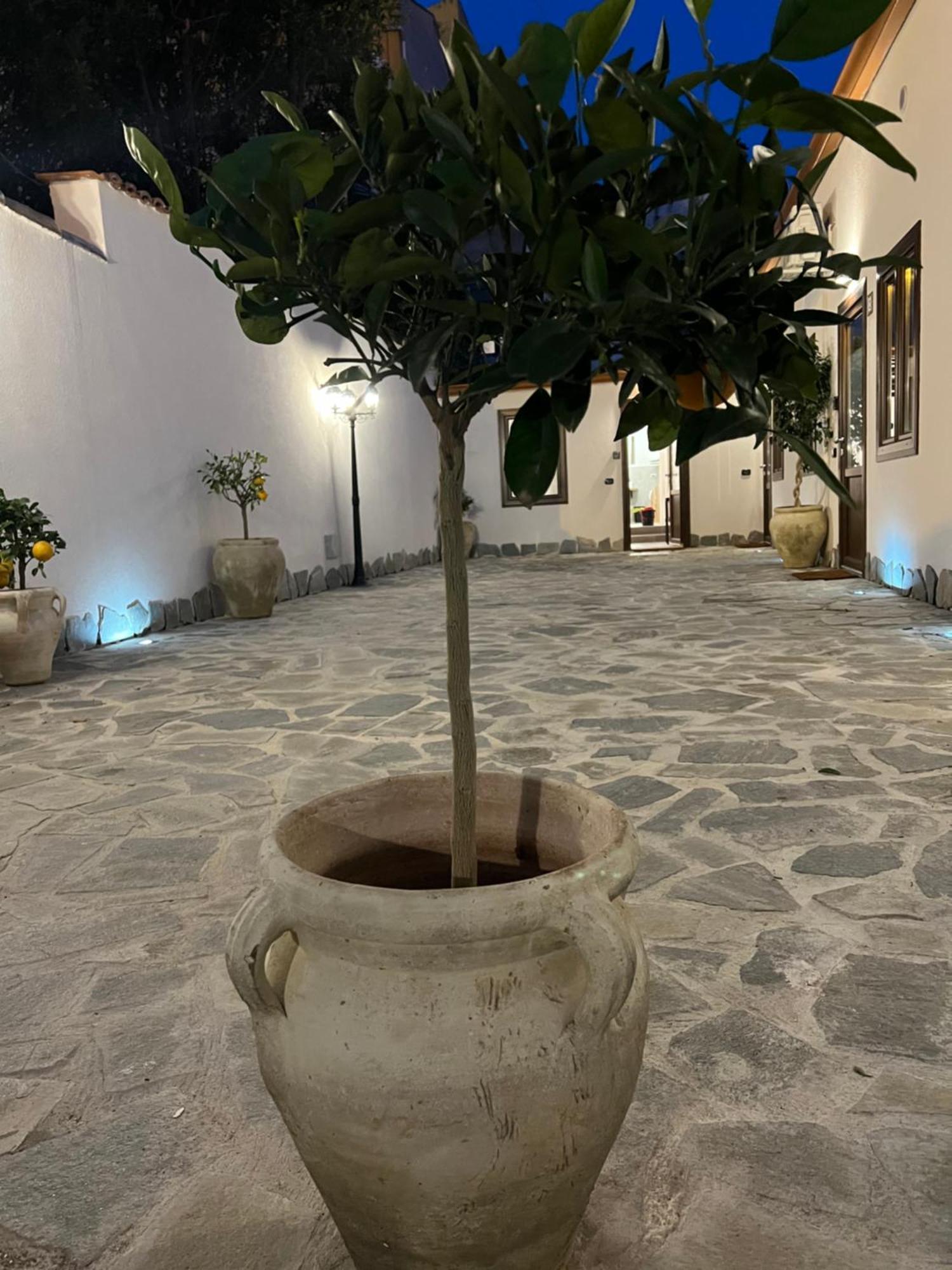 Cedros Leilighet Palermo Eksteriør bilde